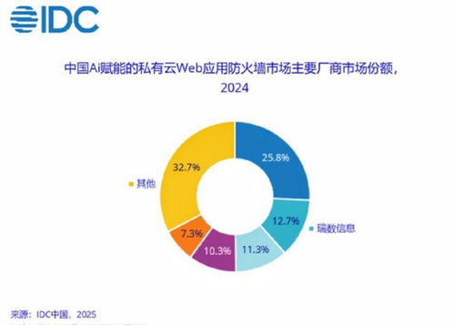 瑞數(shù)信息蟬聯(lián)idc中國(guó)ai賦能私有云waf市場(chǎng)份額top2